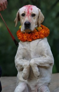 Nepal Hindu Festival