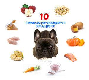 Alimentos-para-compartir-con-tu-perro